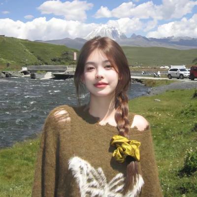 一个叫欧维的男人决定去死