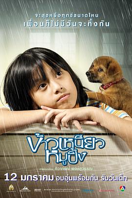 芝加哥警署第四季 封面图